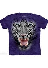 The Mountain Raging Big Face White Tiger