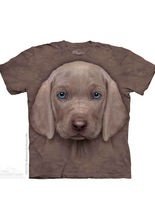 The Mountain Weimaraner Puppy Kinder T-S