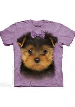 The Mountain Yorkshire Terrier Puppy Kin