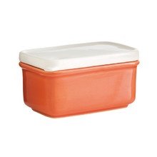 Thorsten van Elten - "Is that plastic?" 