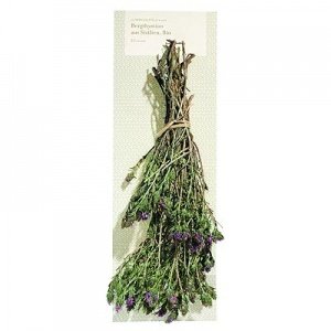 Thymian-Sträußchen aus Sizilien Kräuters