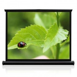 Transportable Minileinwand