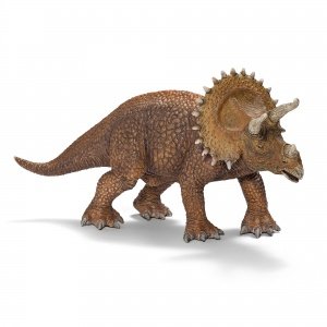 Triceratops