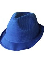Trilby Hut blau