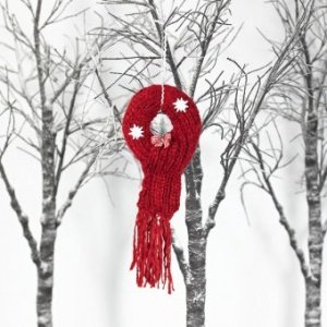 Türkranz Liesllotte Grobstrick rot