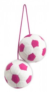 Tussi on Tour - Auto FuÄŸball Anhänger