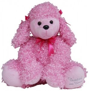 Tussi on Tour - Pudel aus Plüsch