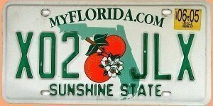 US - Grafiknummernschild Florida