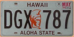 US - Grafiknummernschild Hawaii