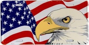 US-Kennzeichen Adler mit Fahne