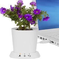 USB Blumentopf