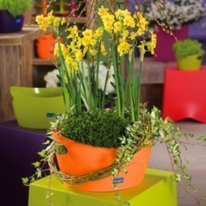 Utensilo Bottichelli M solid orange