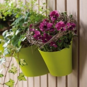 Utensilo Pottichelli L solid senf