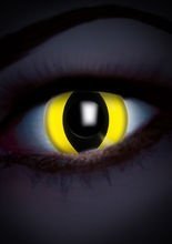 UV Kontaktlinsen Katze gelb-schwarz