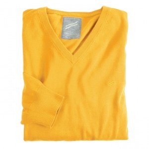 V-Ausschnitt-Pullover Daniel Hechter sen