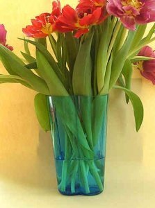 Vase -Blume- türkis, la vida