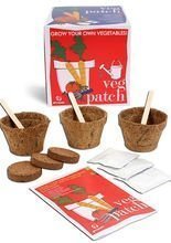 Veggie Garten Pflanzenzucht-Set bunt