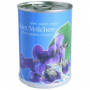 Veilchen aus der Dose