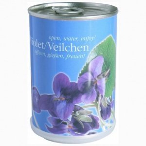 Veilchen aus der Dose