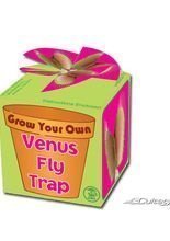 Venusfliegenfalle