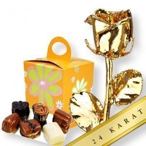 Vergoldete Rose (24 Karat) und Valentino