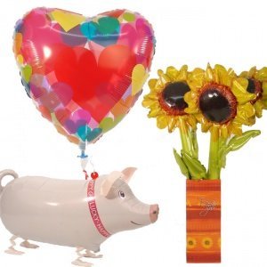 Verschiedene Ballons *Happy & Lucky*