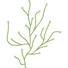 Vitra - Algue, 25 Stück, grün