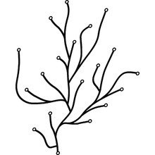 Vitra - Algue, 25 Stück, schwarz