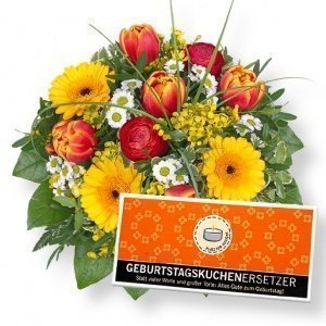 Viva! und Geburtstagskuchenersetzer