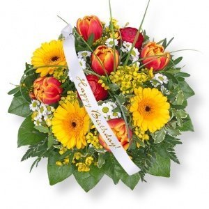 Viva! und Schleife: Happy Birthday!