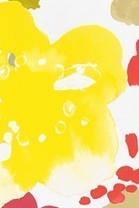 Vlies-Tapete buenos aires flower