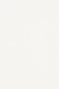 Vlies-Tapete buenos aires plain