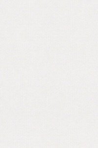 Vlies-Tapete cape town plain