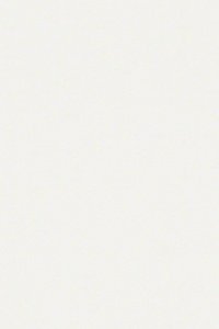 Vlies-Tapete forrest plain