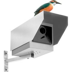 Vogelhaus Big Brother