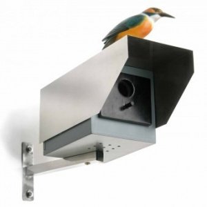 Vogelhaus Big Brother