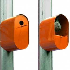 Vogelhaus Pipeep orange