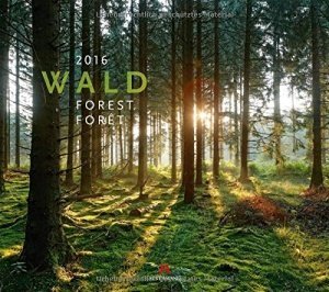 Wald Kalender