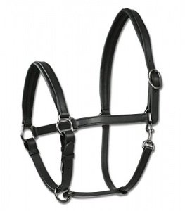 Wembley Lederhalfter