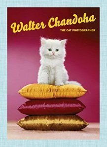 Walter Chandoha: The Cat Photographer