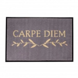 Waschbare Fußmatte Carpe Diem