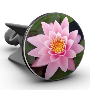 Waschbeckenstöpsel Lotusblüte rosa, das 