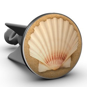 Waschbeckenstöpsel Muschel