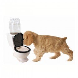 Wassernapf für Haustiere in Toilettenfor