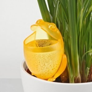 Wasserspeicher Froggy Yellow