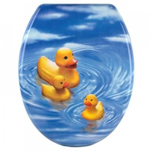 WC Toilettensitz Entenfamilie