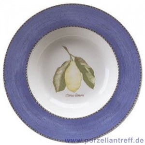 Wedgwood Sarah´s Garden Suppenteller bla