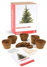 Weihnachtsbaum Pflanzenzucht-Set weiss