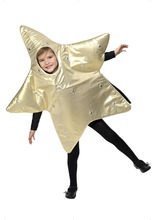 Weihnachtsstern Kostüm