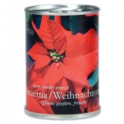 Weihnachtsstern aus der Dose